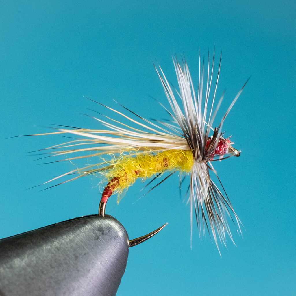 Yellow Sally dry fly pattern