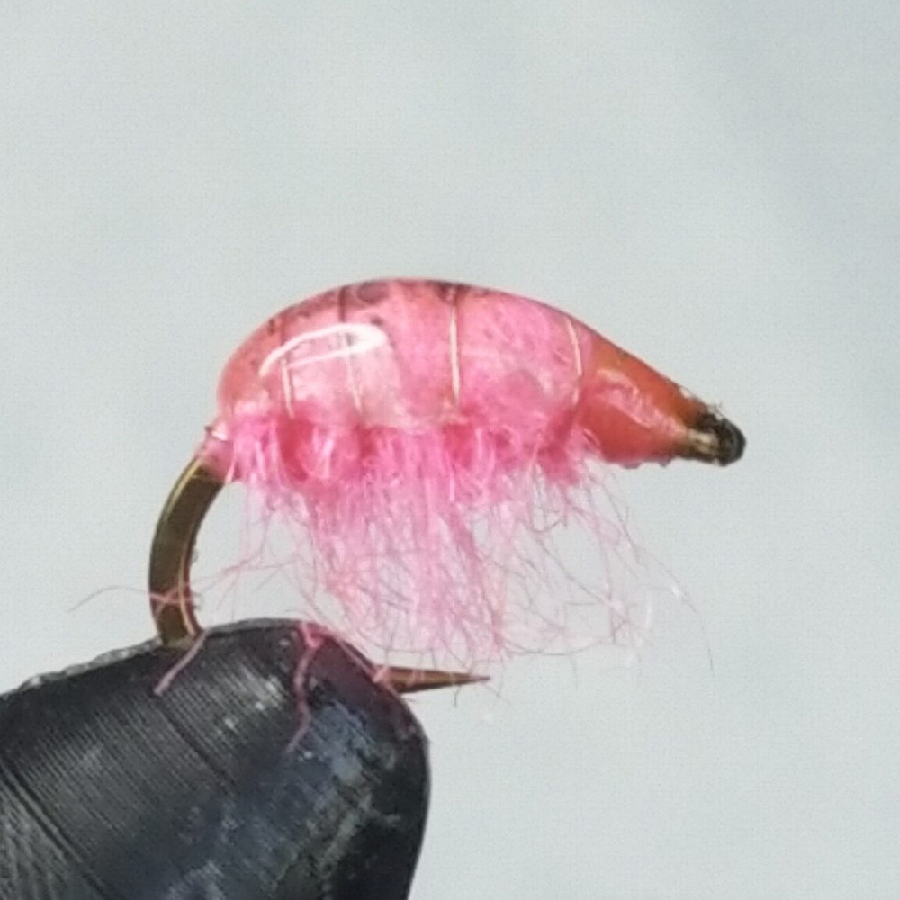 Pink Scud fly