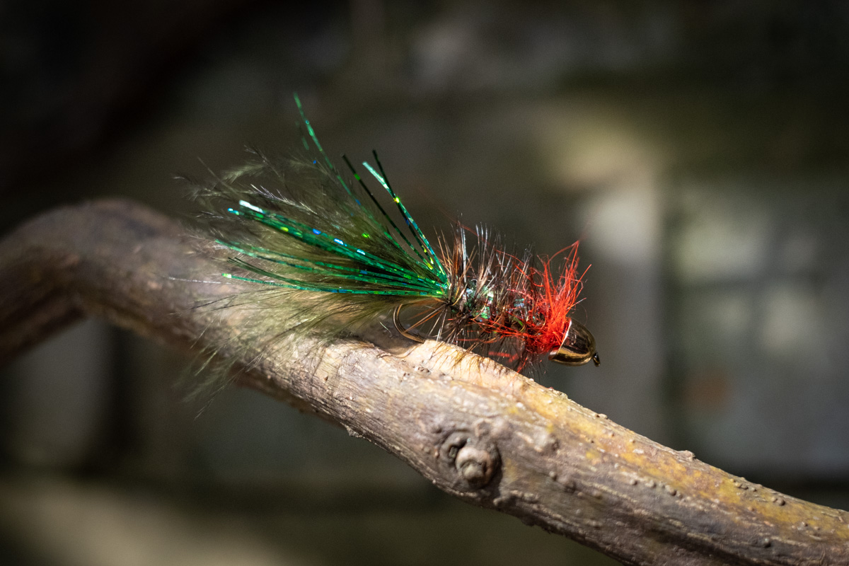 Wooly bugger fly pattern