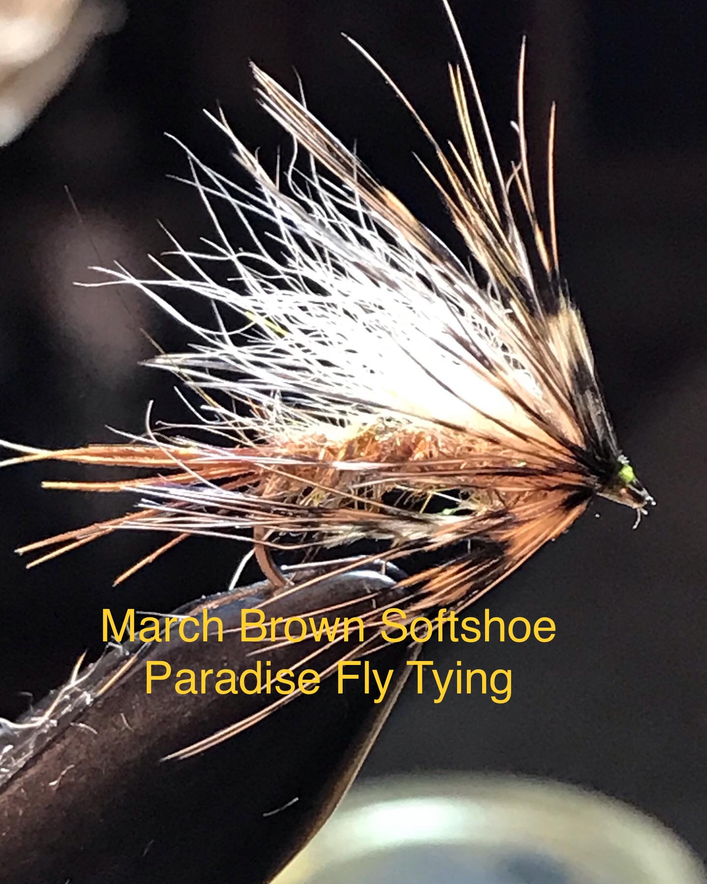 March brown fly pattern