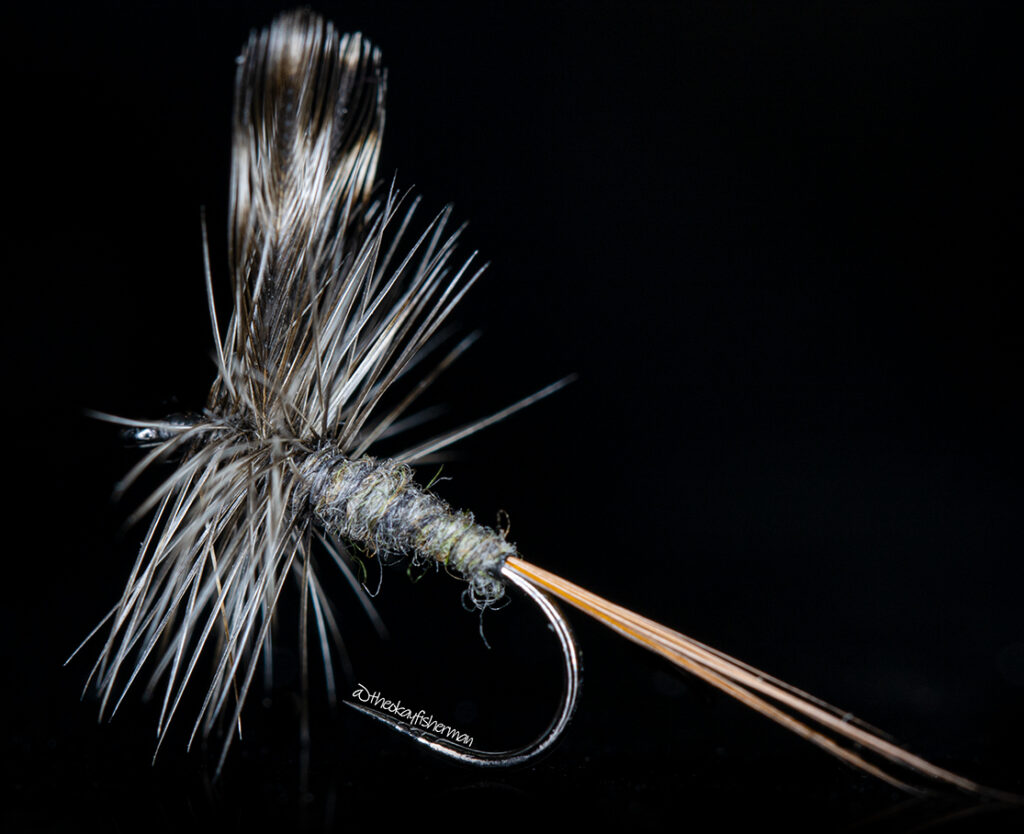 Adams Dry Fly