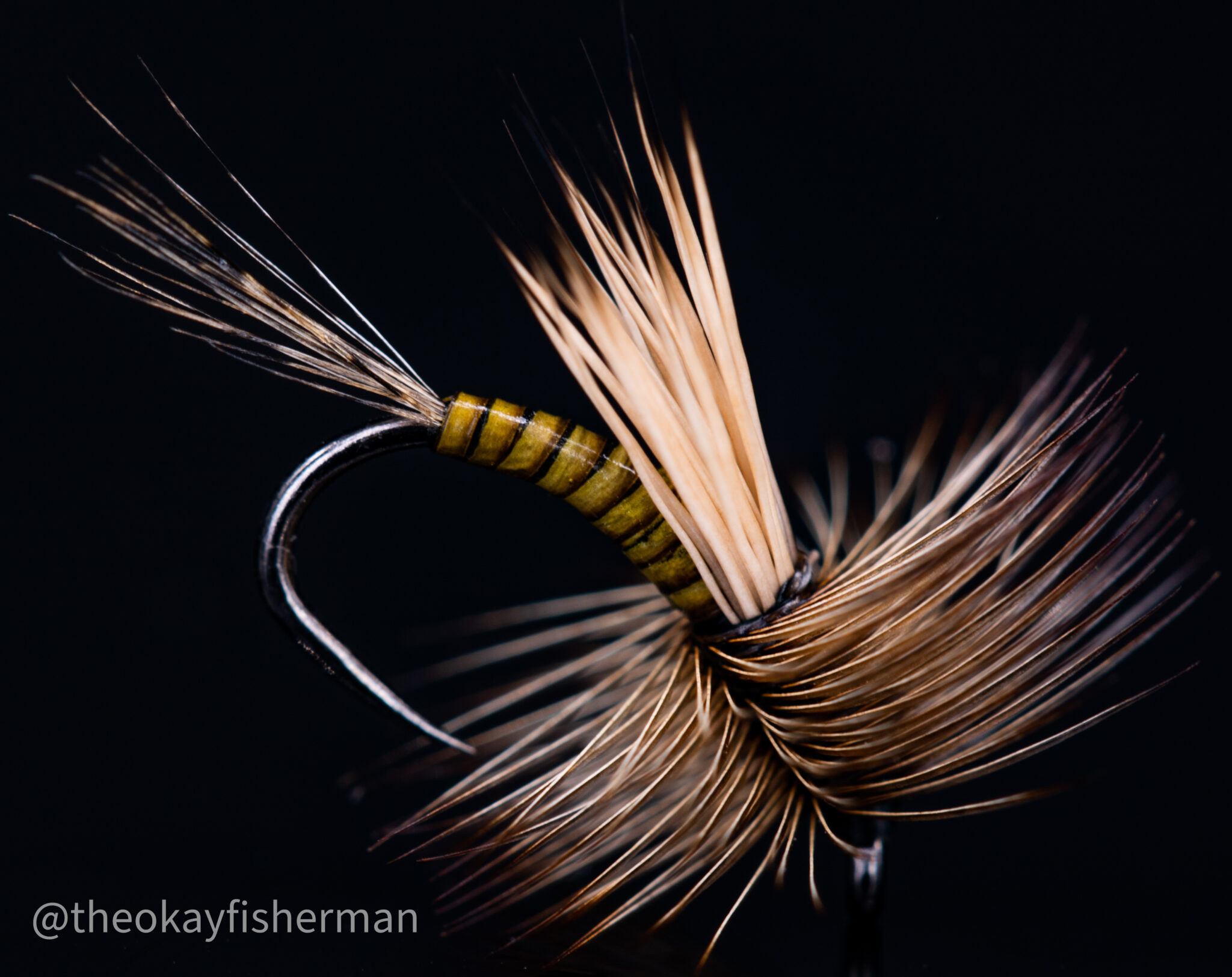 Upload image: Quill body emerger