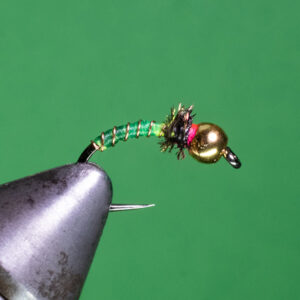 Caddis nymph fly pattern